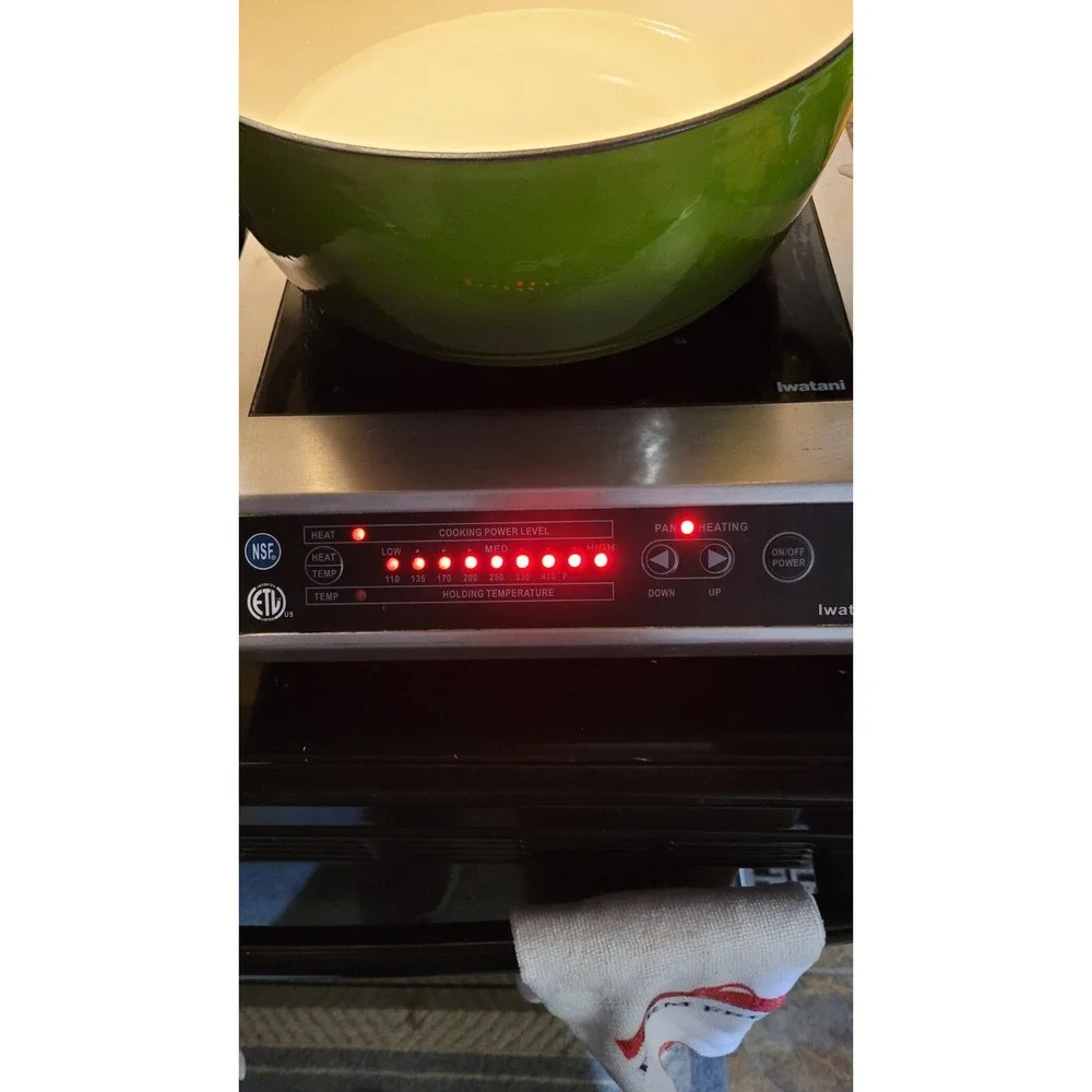 Iwatani IWA-1800 Tabletop Single-Burner Electric Stove Induction Cooktop Burner